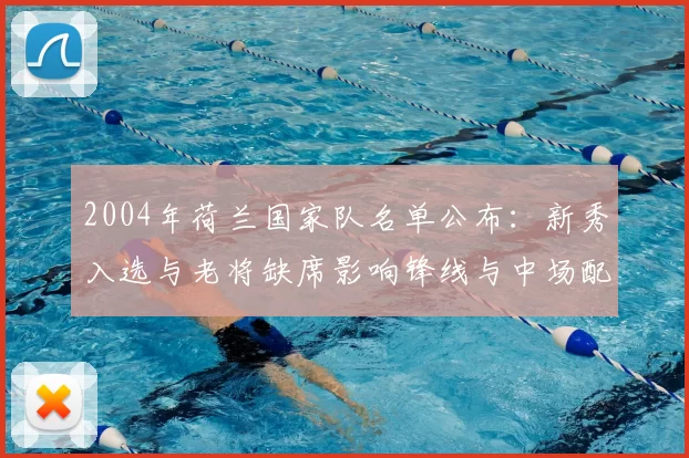 2004年荷兰国家队名单公布：新秀入选与老将缺席影响锋线与中场配置