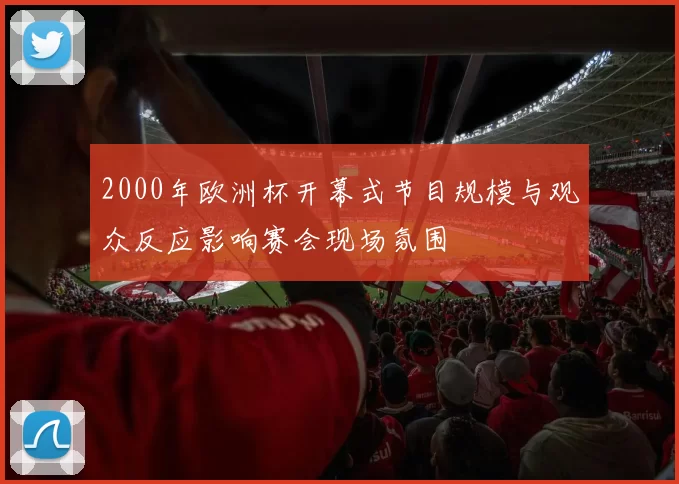2000年欧洲杯开幕式节目规模与观众反应影响赛会现场氛围