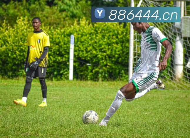 九游体育官方平台平台生态图